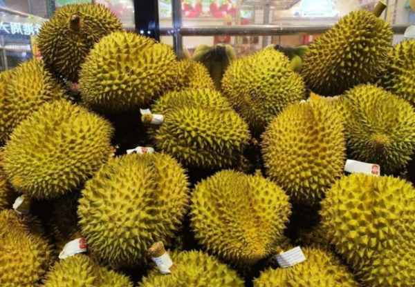 사진=뉴시스 제공.