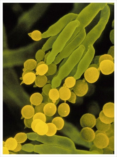 사진=뉴시스 제공.