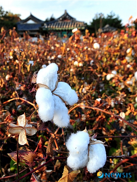 사진=뉴시스 제공.