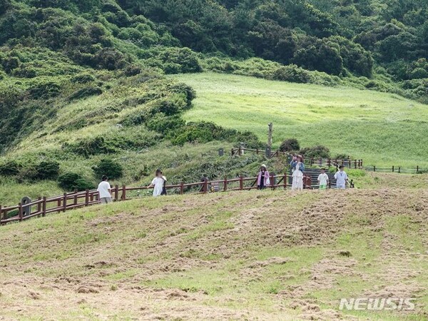 사진=뉴시스 제공.