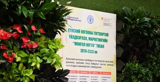 사진=뉴시스 제공.