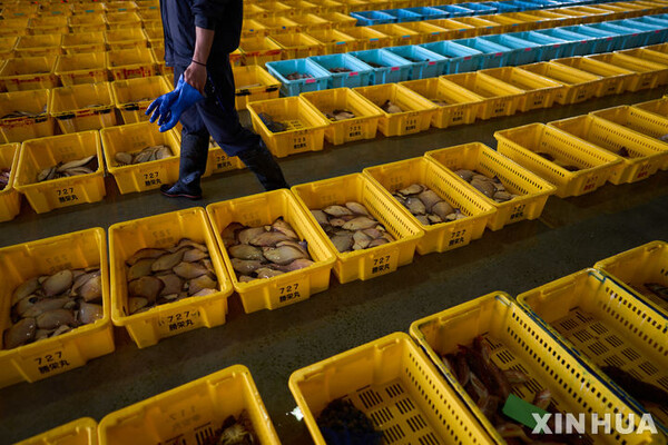 사진=뉴시스 제공.