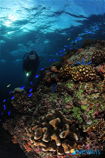 사진=뉴시스 제공.