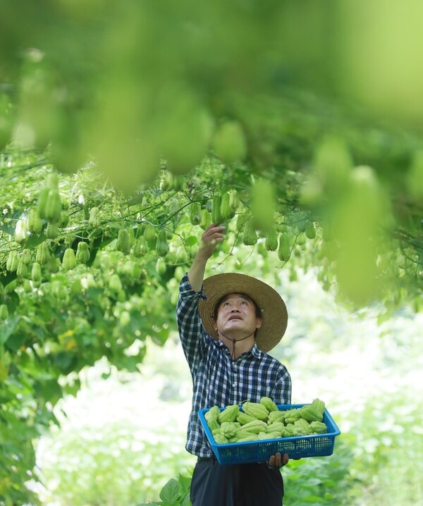 사진=뉴시스 제공.