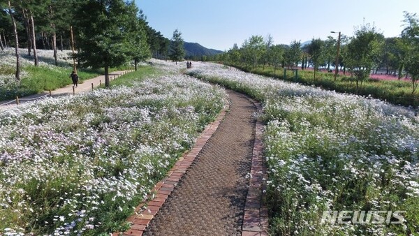 사진=뉴시스 제공.