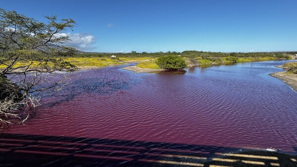 사진=US-Knews 제공.