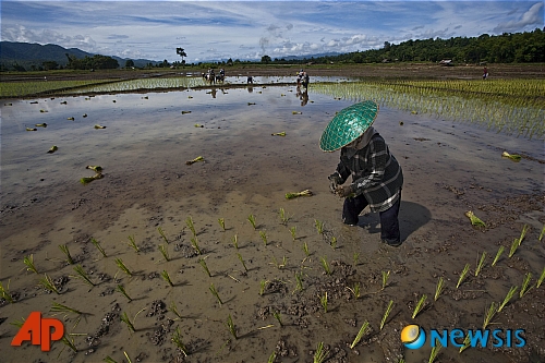 사진=뉴시스 제공.