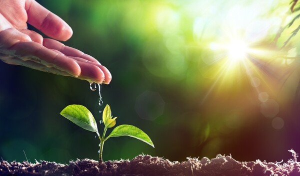 사진=뉴시스 제공.