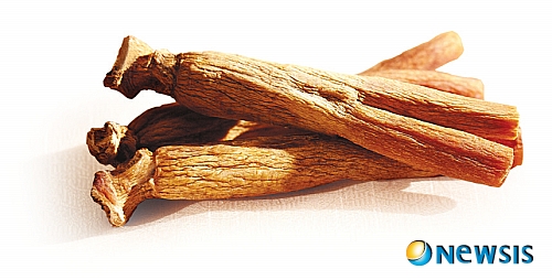 사진=뉴시스 제공.