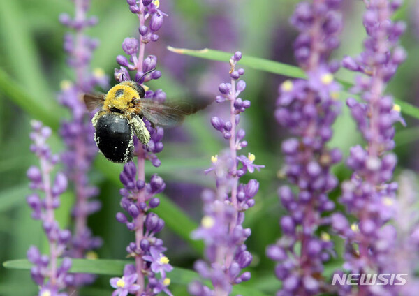 사진=뉴시스 제공.