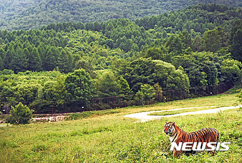 사진=뉴시스 제공.