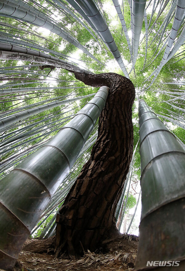 사진=뉴시스 제공.