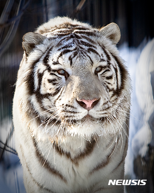 사진=뉴시스 제공.