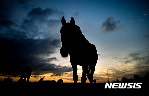 사진=뉴시스 제공.