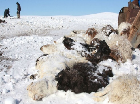 사진=뉴시스 제공.