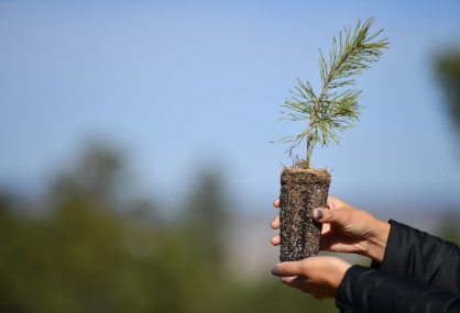 사진=뉴시스 제공.