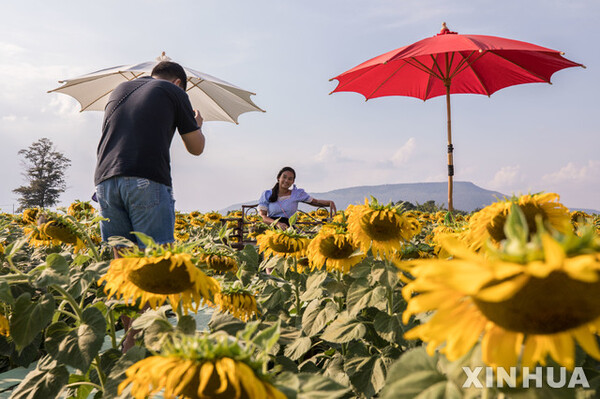 사진=뉴시스 제공.
