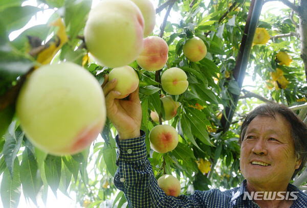 사진-뉴시스 제공.