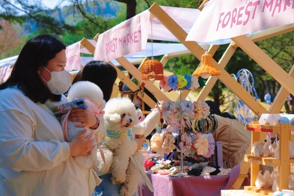 사진=남이섬 제공.