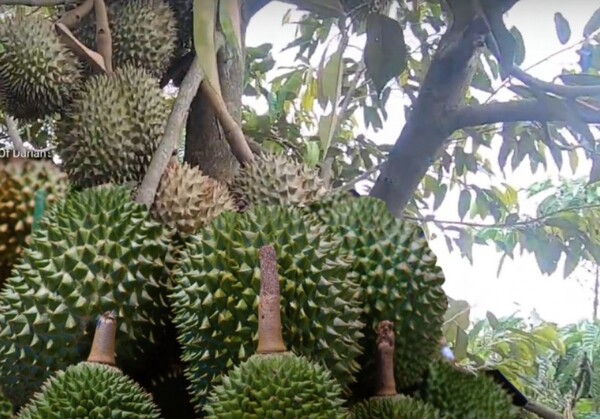 사진=뉴시스 제공.