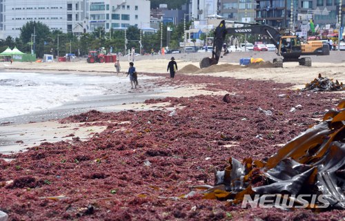 사진=뉴시스 제공.