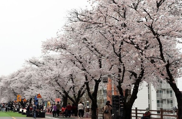 사진=뉴시스 제공.