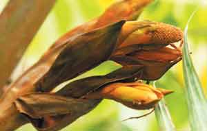 사진=뉴시스 제공.