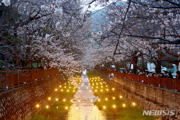 사진=뉴시스 제공.