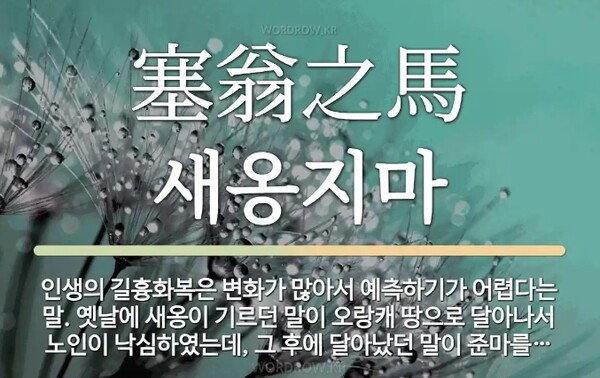 사진=뉴시스 제공.