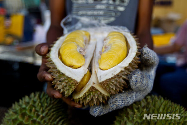사진=뉴시스 제공.