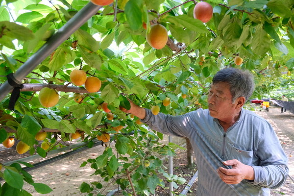 사진=뉴시스 제공.