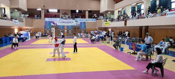 어린이 선수 경기하는 모습./사진=세계어린이태권도연맹 제공.