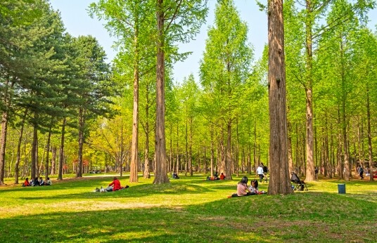 사진=남이섬 제공.