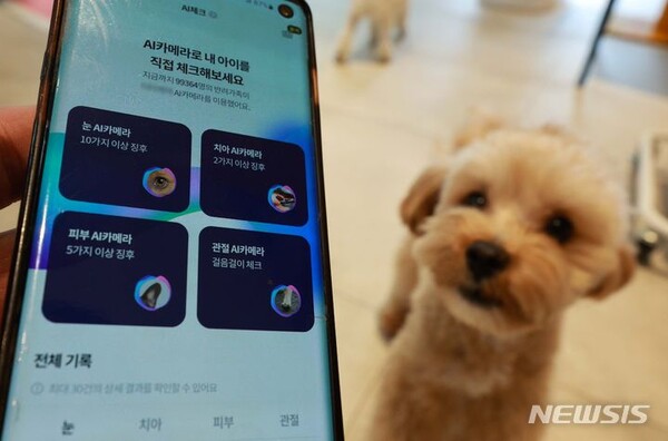 사진=뉴시스 제공.