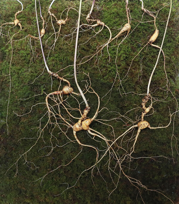 사진=뉴시스 제공.