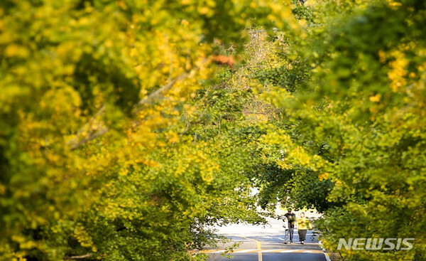 사진=뉴시스 제공.