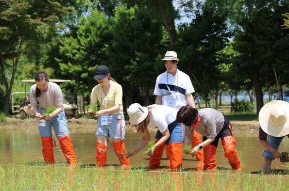 사진=남이섬 제공.