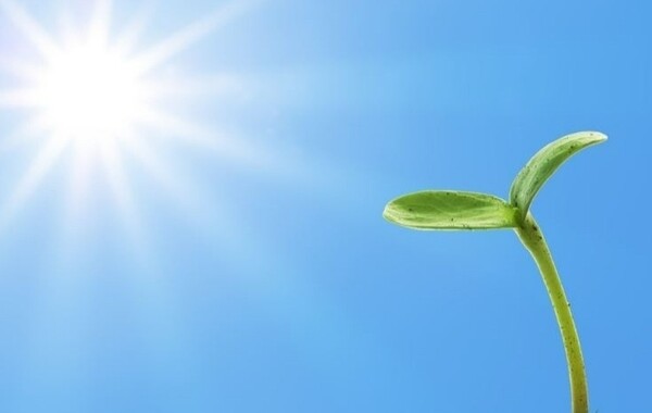 사진=뉴시스 제공.