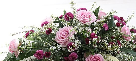 사진=뉴시스 제공.