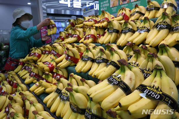 사진=뉴시스 제공.