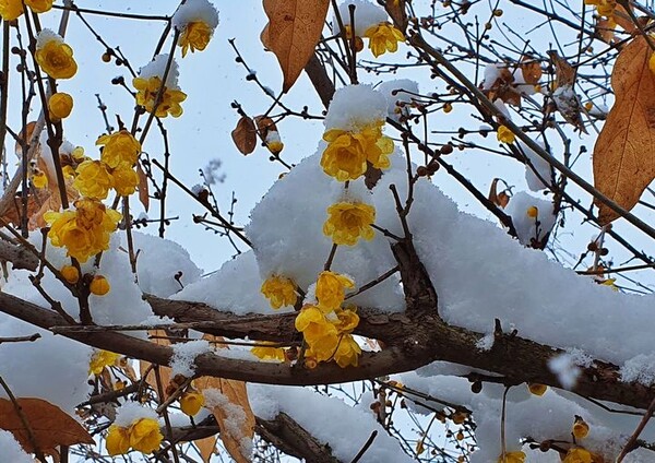 사진=뉴시스 제공.