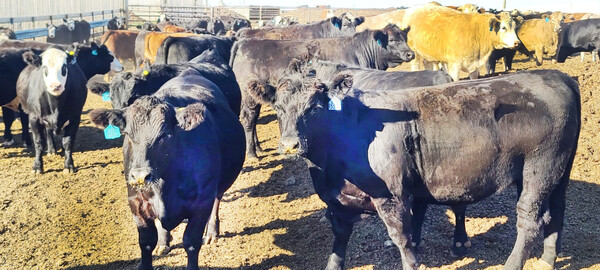 사진=뉴시스 제공.