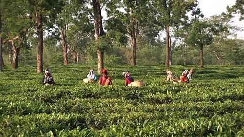 사진=뉴시스 제공.