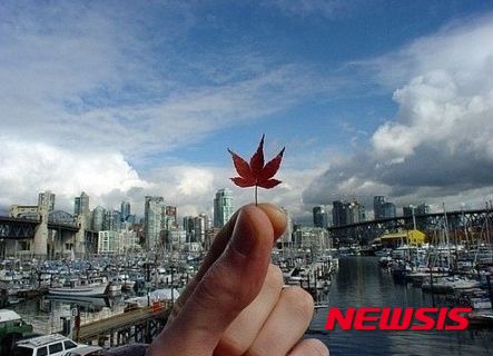 사진=뉴시스 제공.