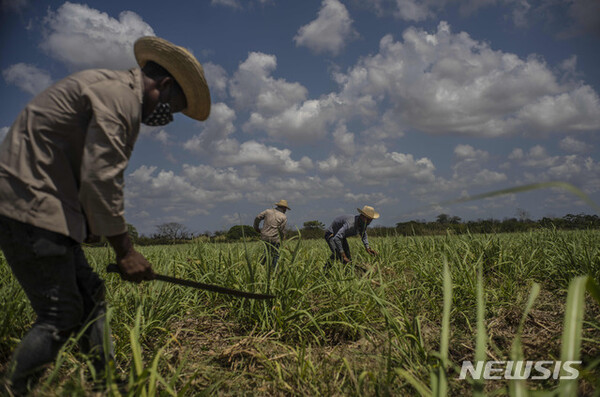 사진=뉴시스 제공.