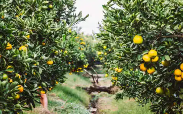 사진=뉴시스 제공.