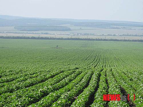 사진=뉴시스 제공.