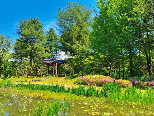 사진=남이섬 제공.