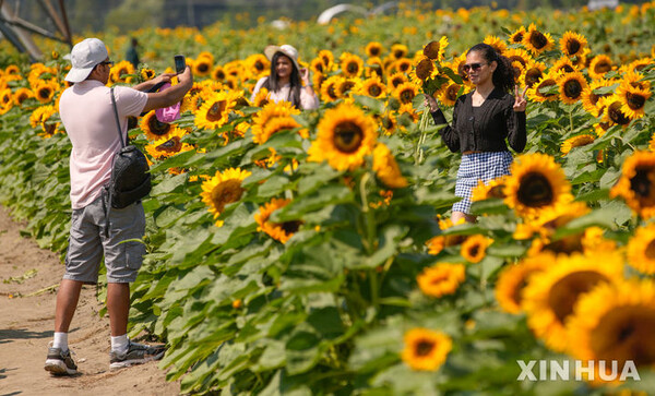 사진=뉴시스 제공.