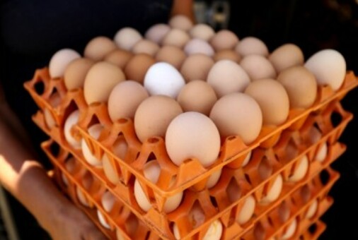 사진=뉴시스 제공.